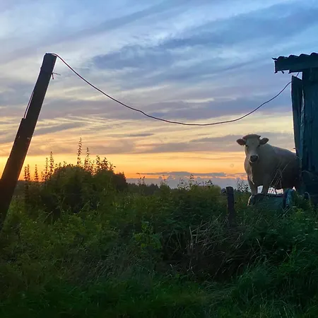 Фермерский дом Quietude A La Ferme