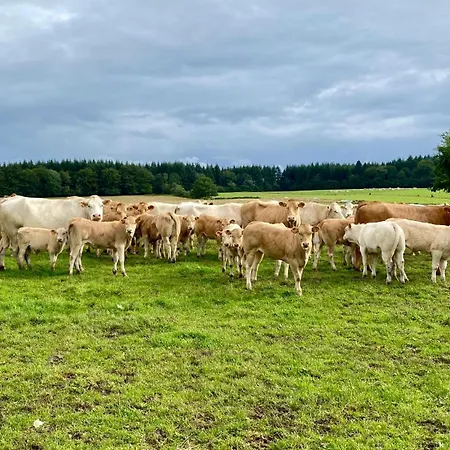 Quietude A La Ferme *
