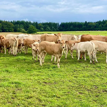 Quietude A La Ferme Agroturismo Houdremont