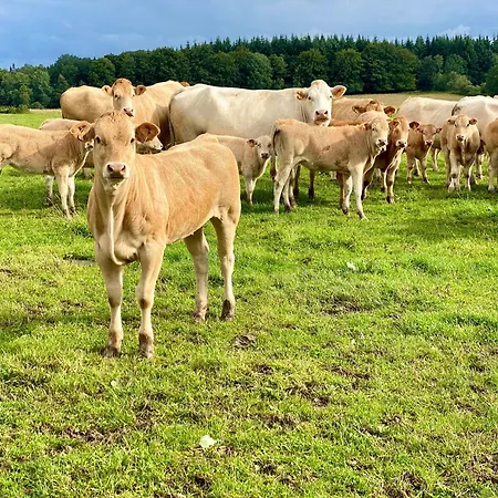 Quietude A La Ferme Houdremont