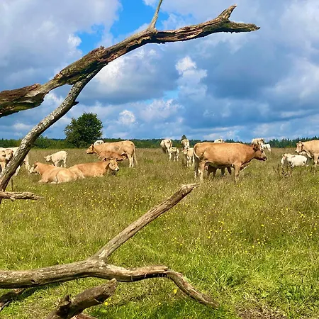 Quietude A La Ferme Фермерский дом