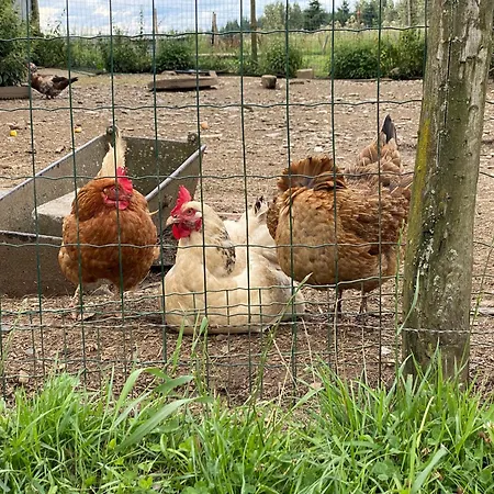Фермерский дом Quietude A La Ferme Houdremont