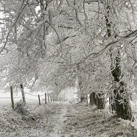 Фермерский дом Quietude A La Ferme